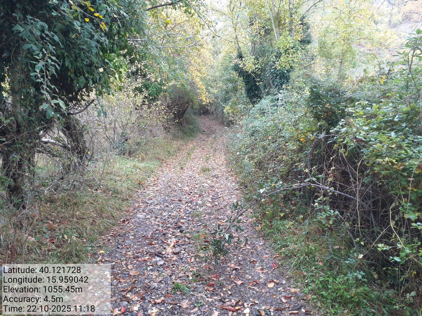 Galleria Fotografica Immagine