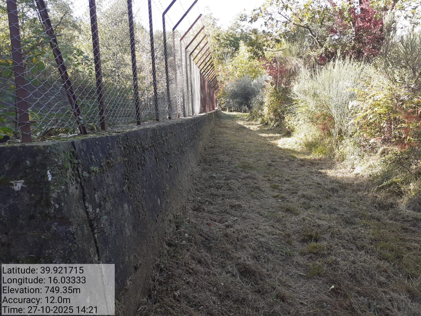 Galleria Fotografica Immagine