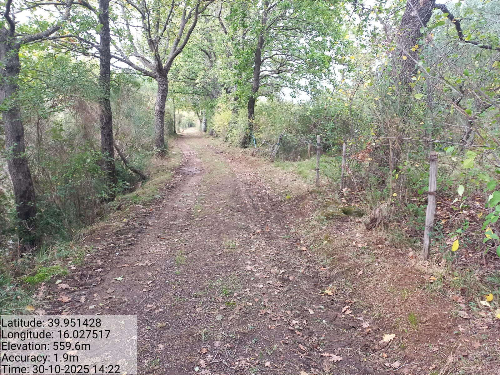 Galleria Fotografica Immagine