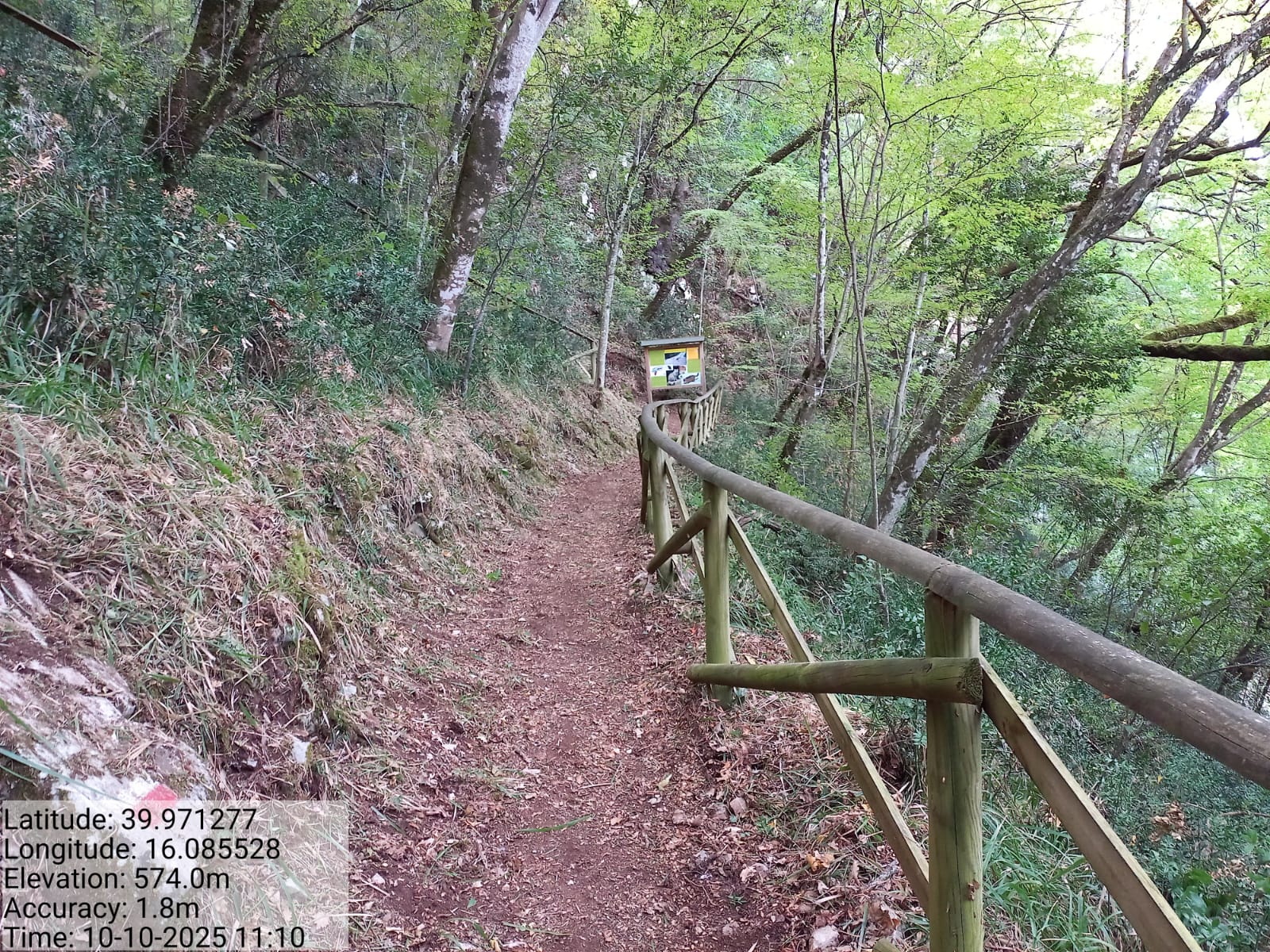 Galleria Fotografica Immagine