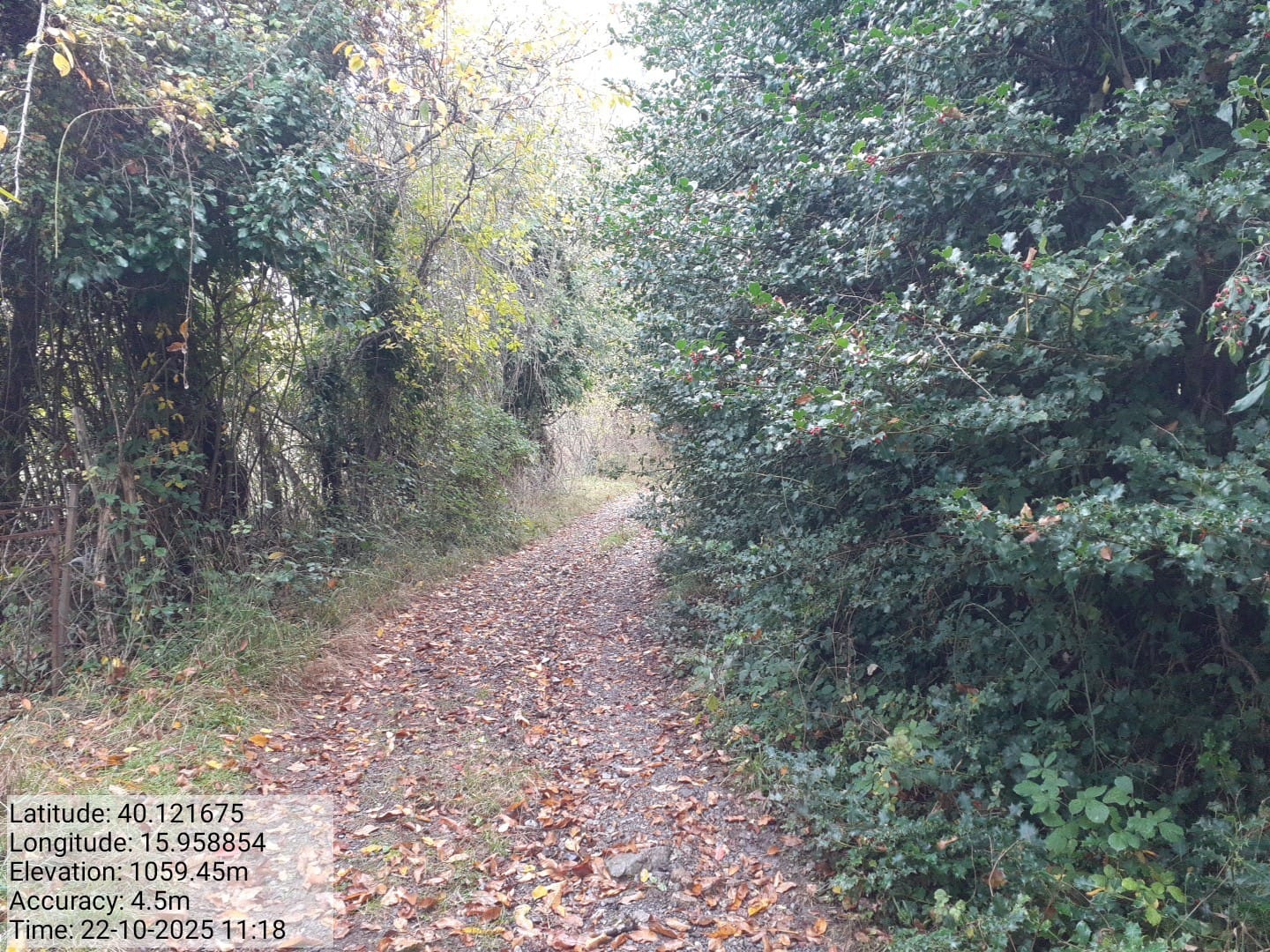 Galleria Fotografica Immagine