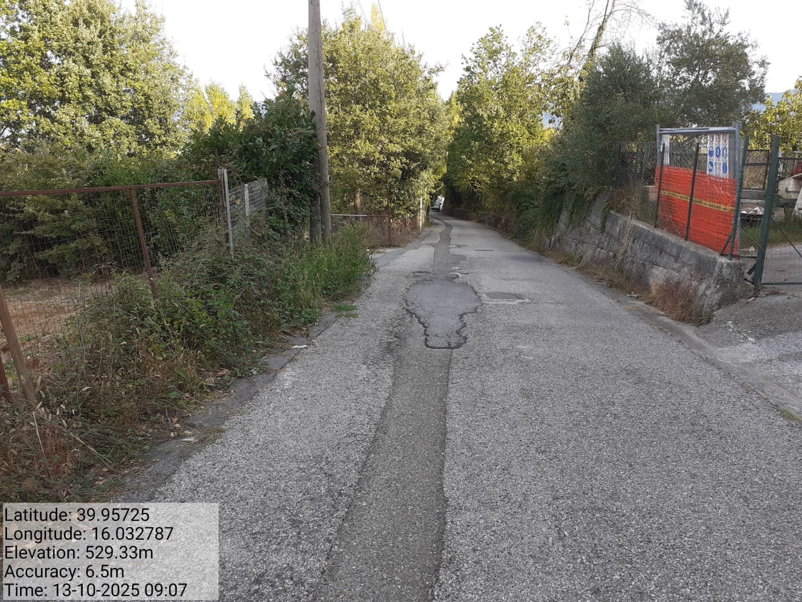 Galleria Fotografica Immagine