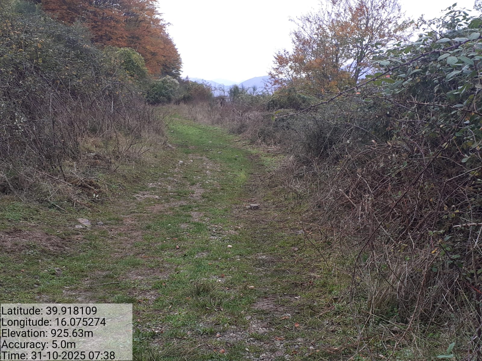 Galleria Fotografica Immagine