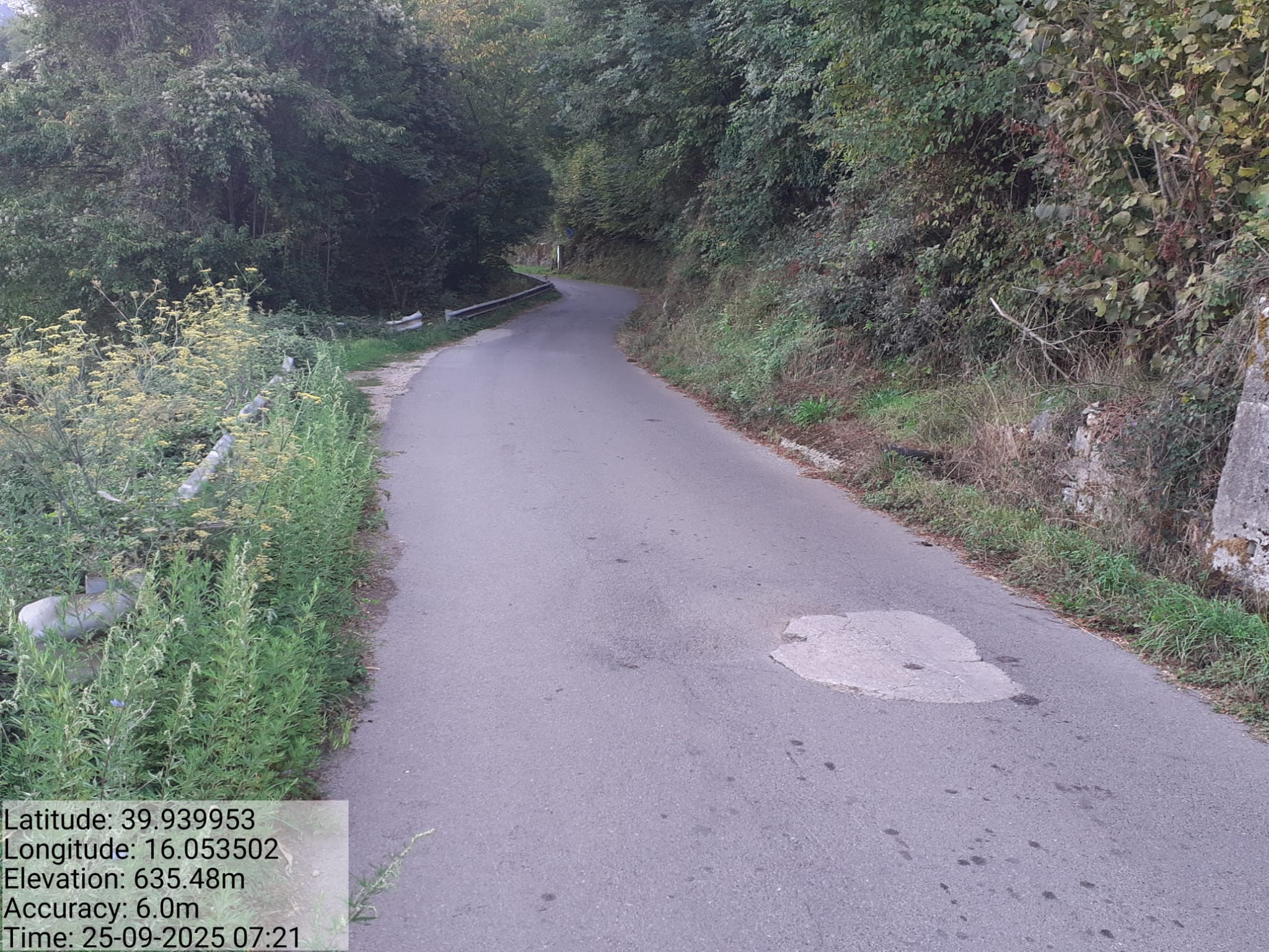 Galleria Fotografica Immagine