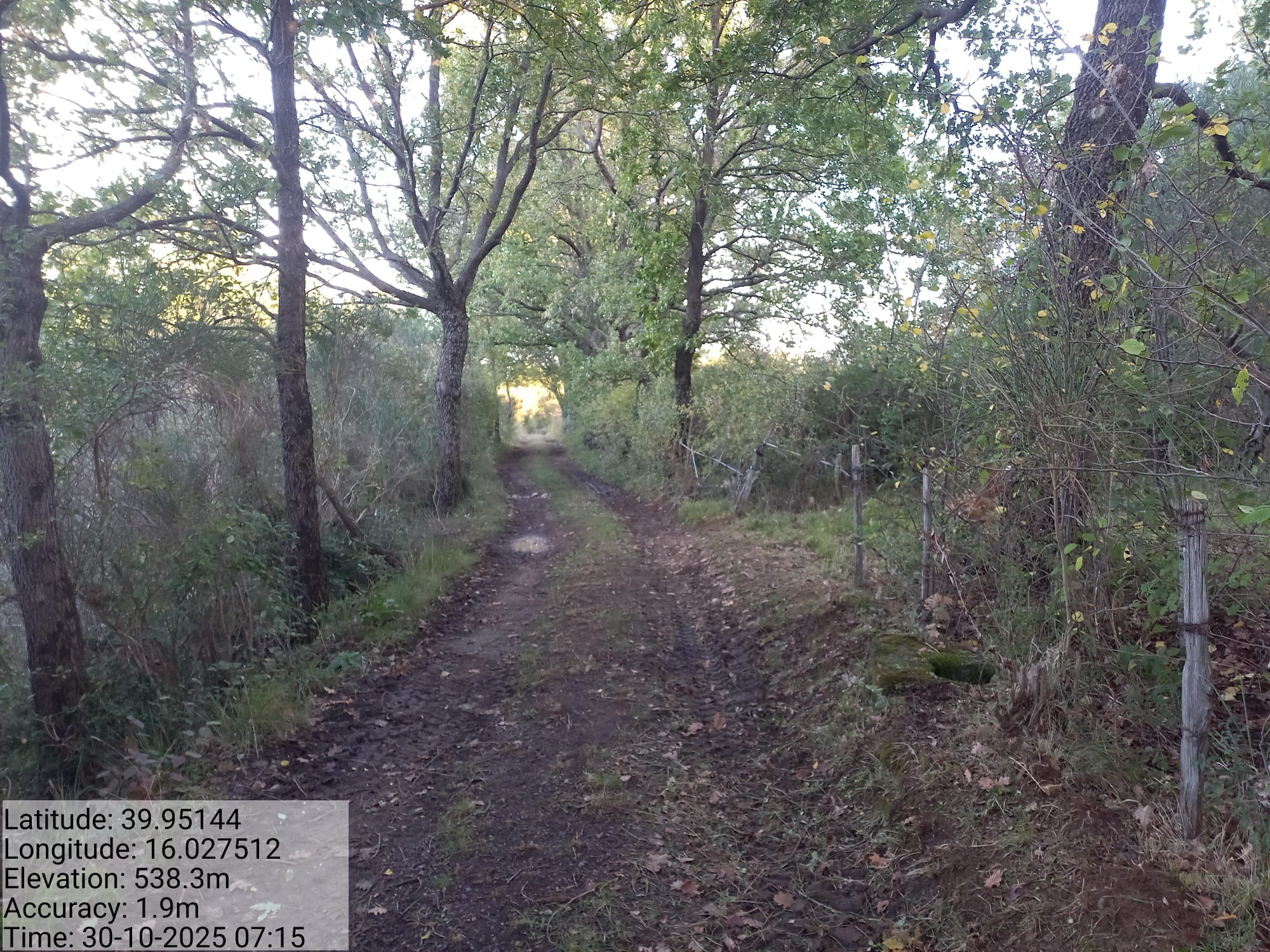 Galleria Fotografica Immagine