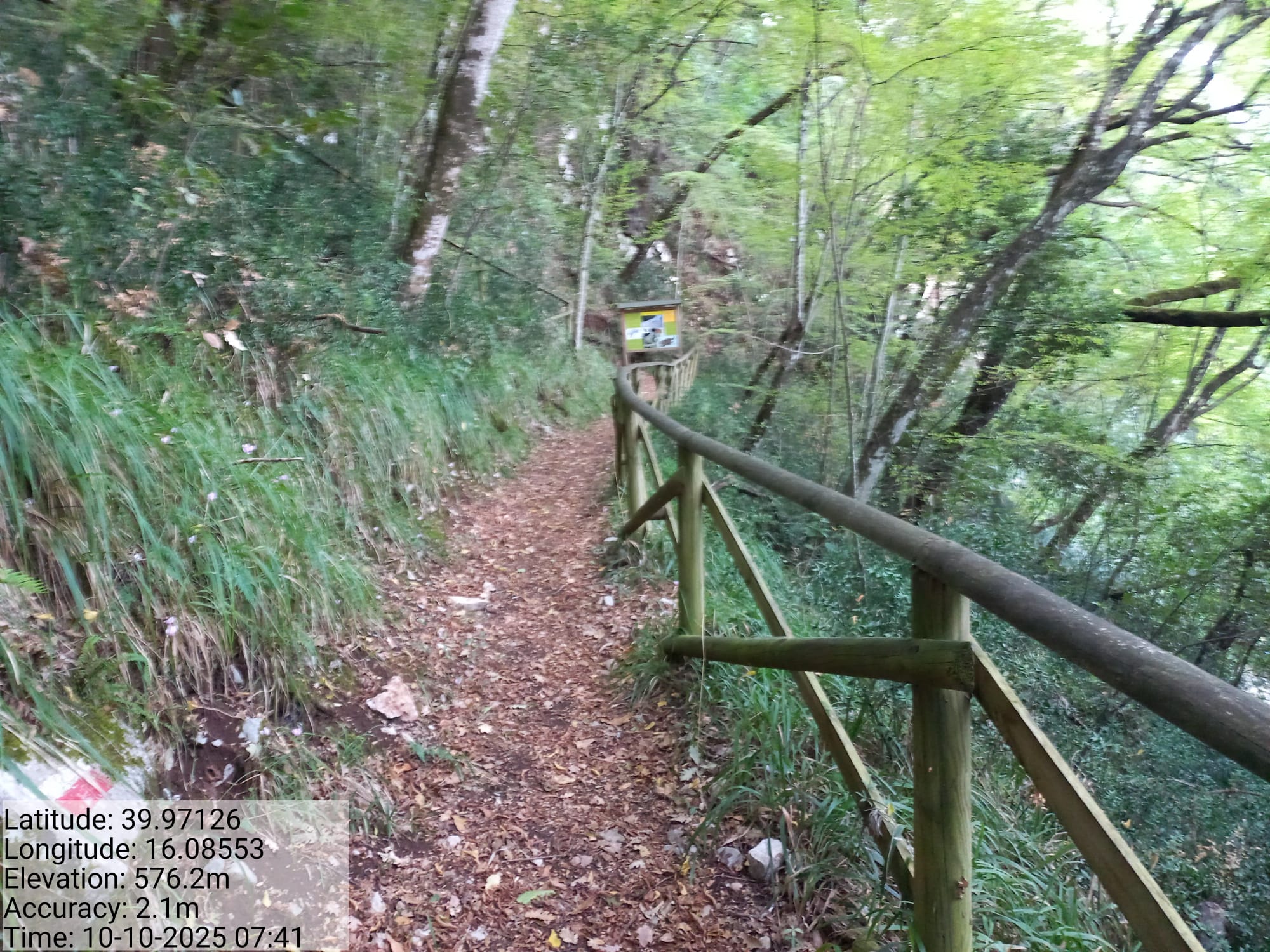 Galleria Fotografica Immagine