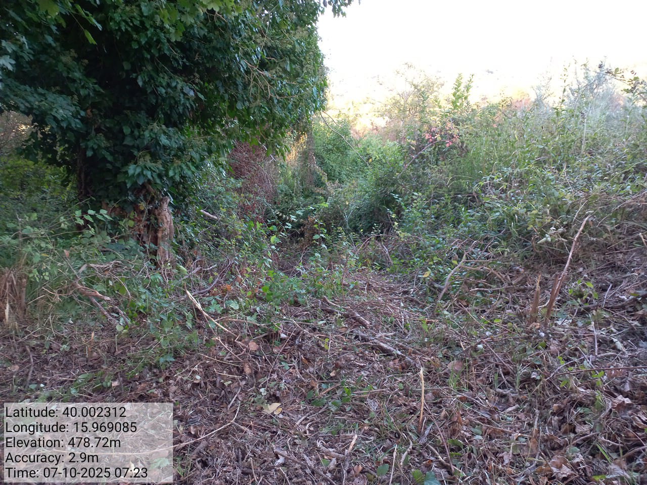 Galleria Fotografica Immagine