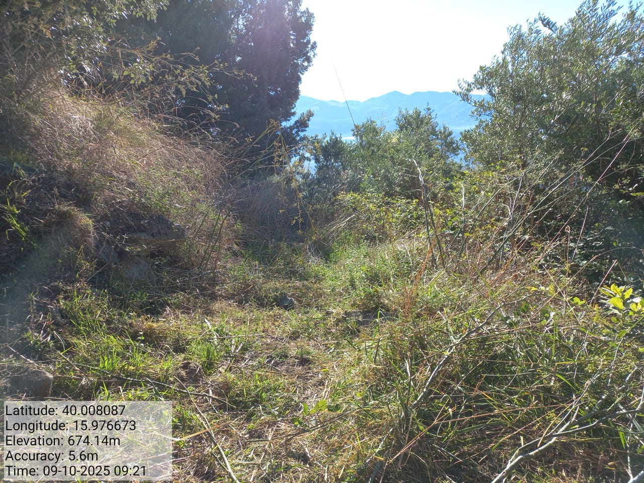 Galleria Fotografica Immagine