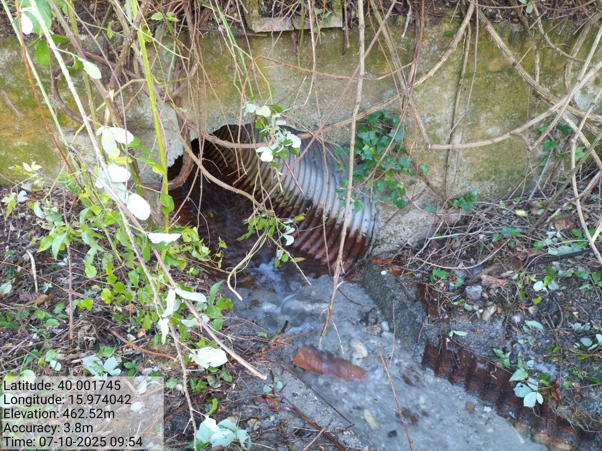 Galleria Fotografica Immagine