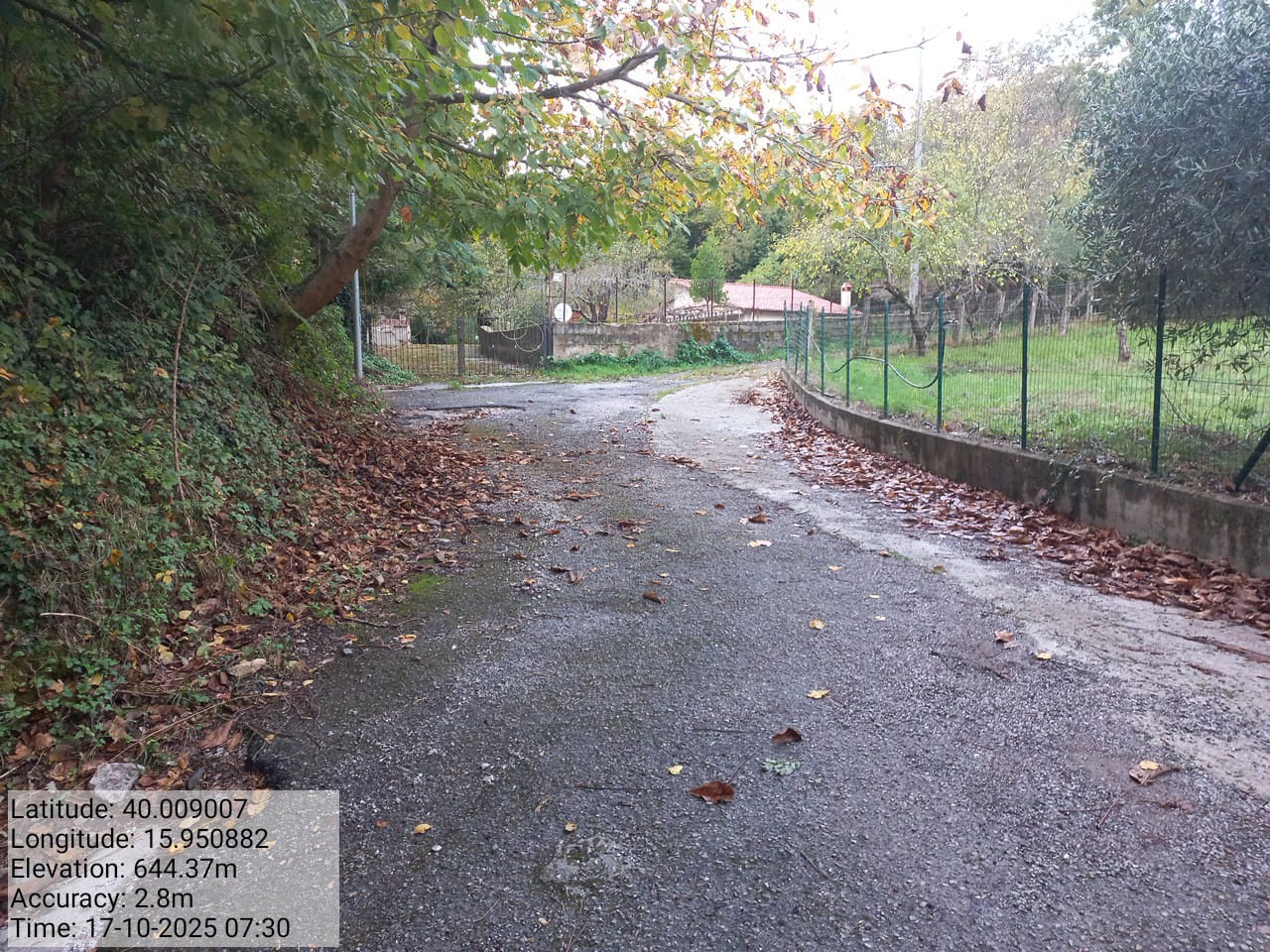 Galleria Fotografica Immagine