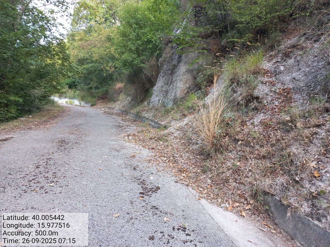 Galleria Fotografica Immagine