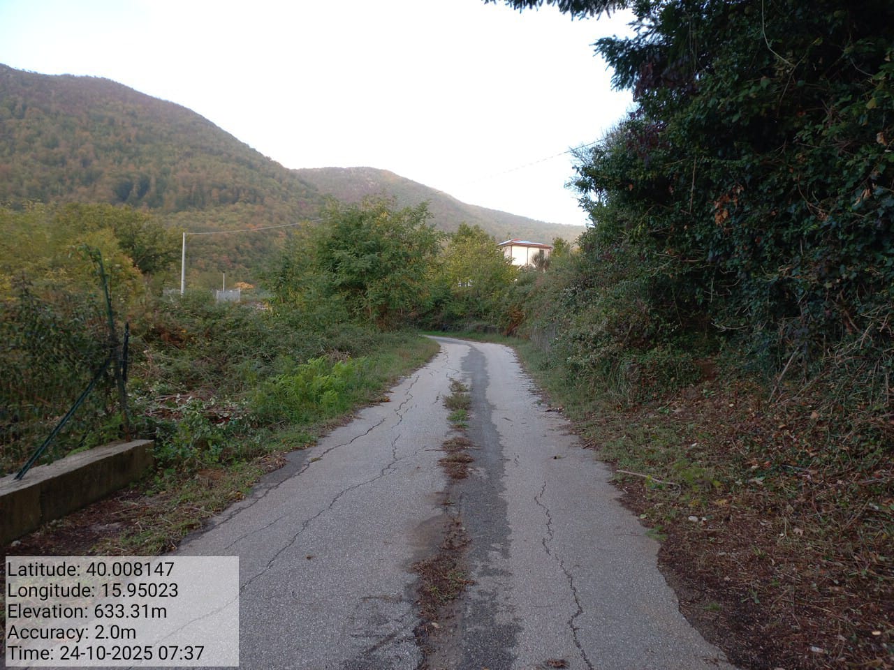 Galleria Fotografica Immagine