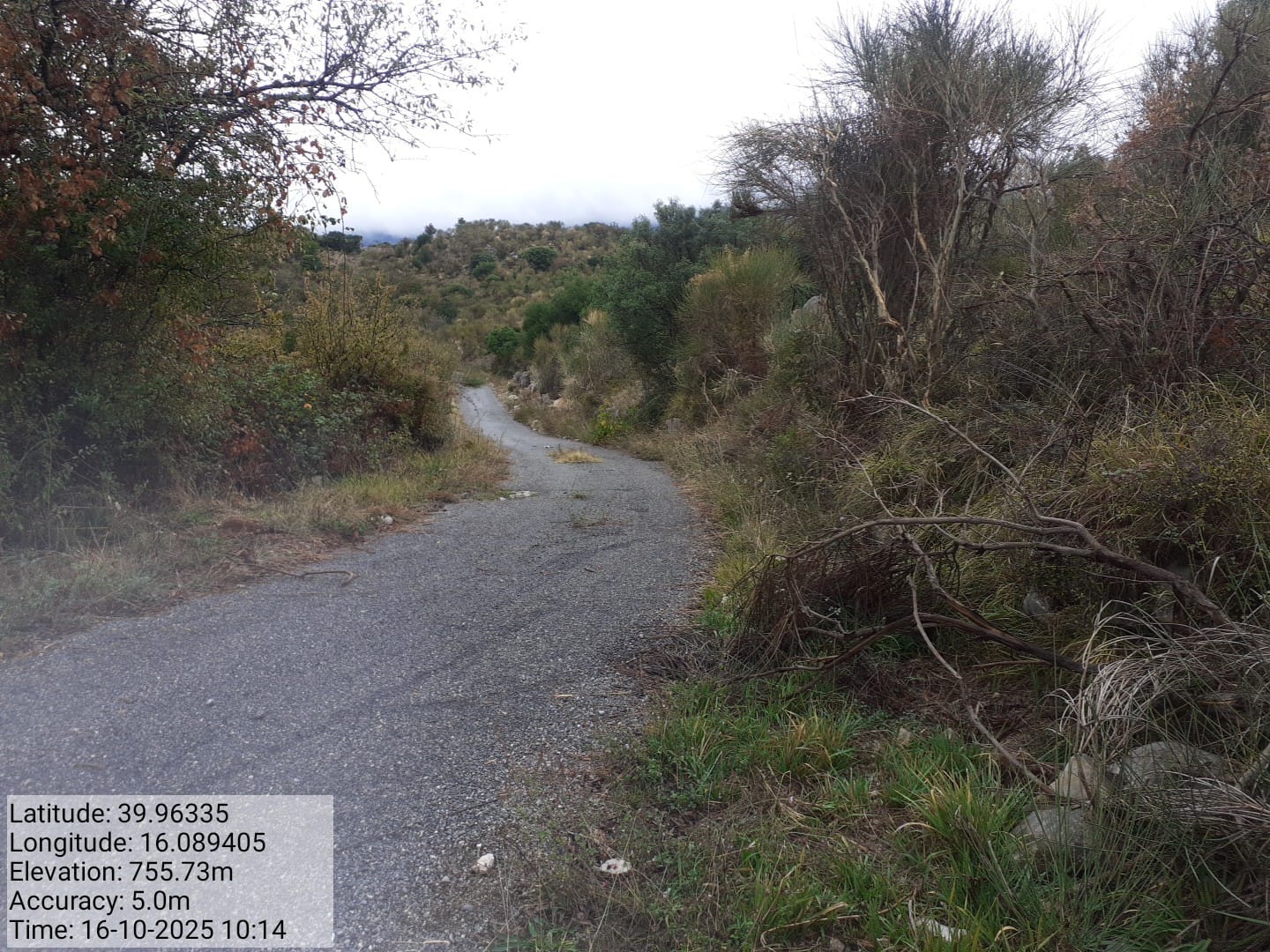 Galleria Fotografica Immagine