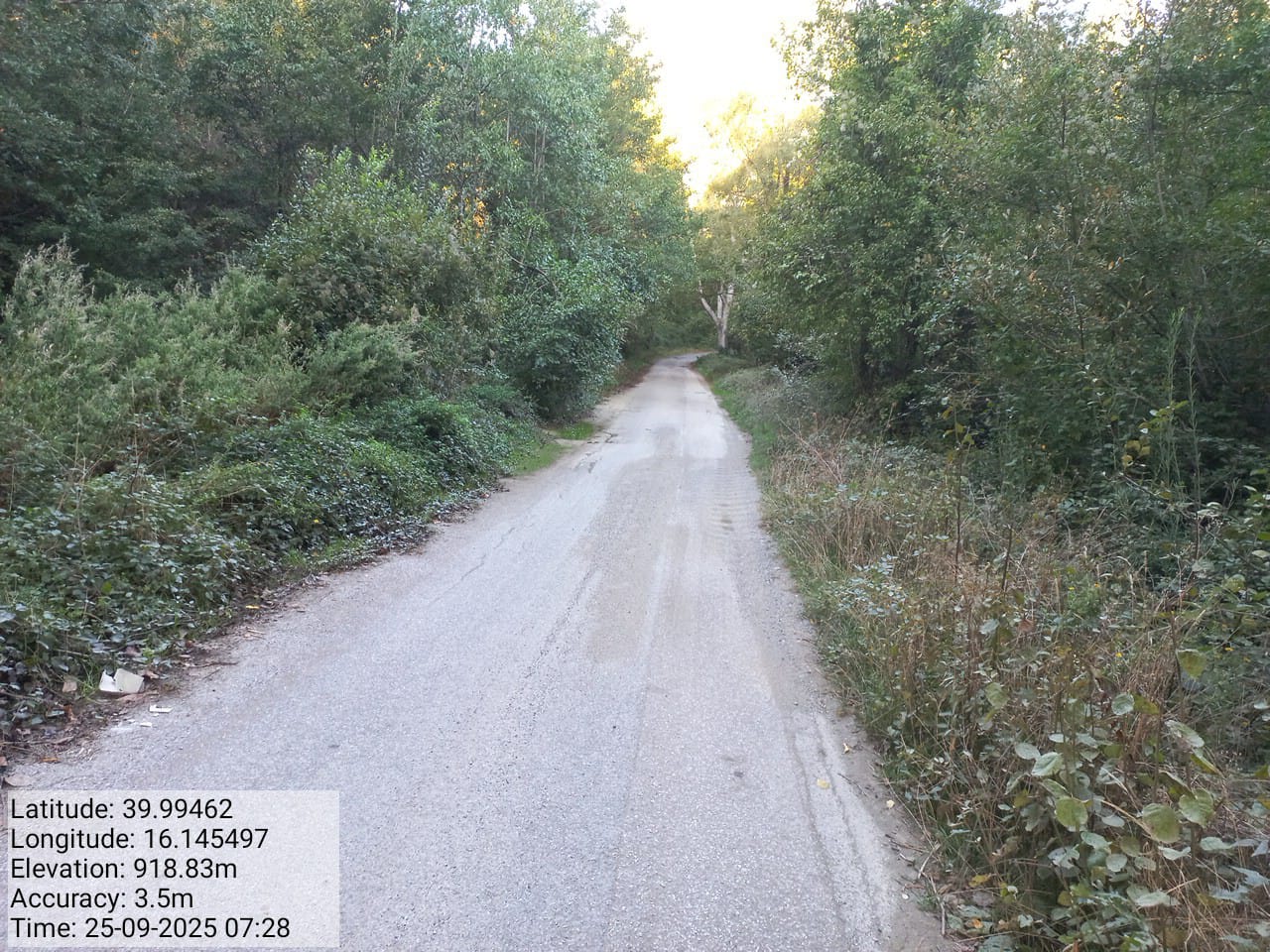 Galleria Fotografica Immagine