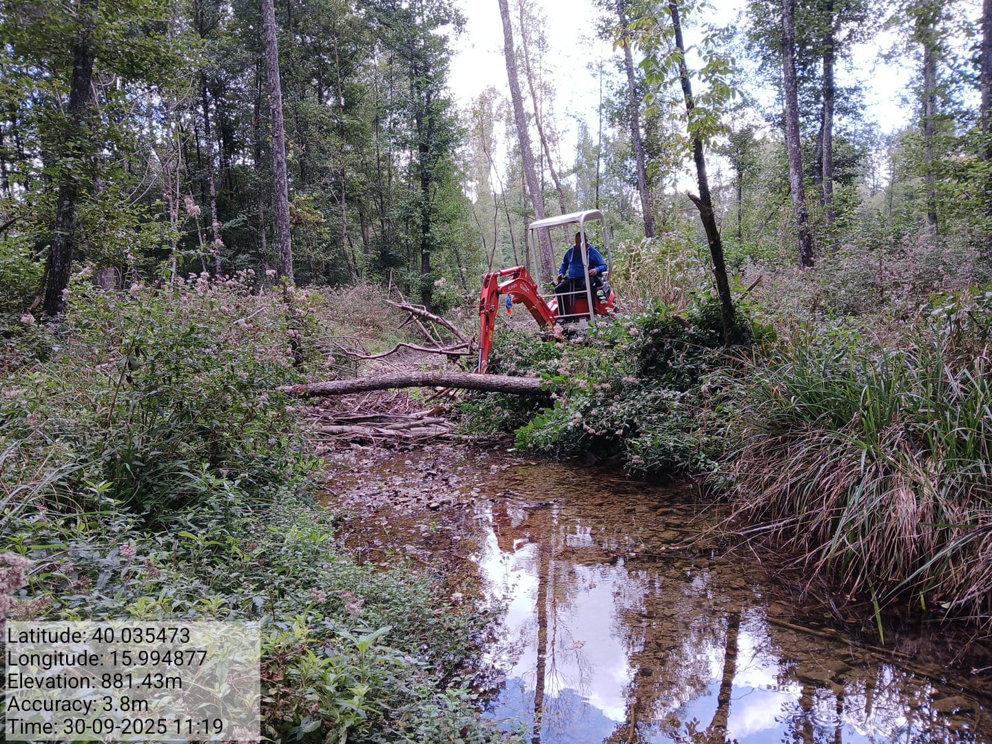 Galleria Fotografica Immagine