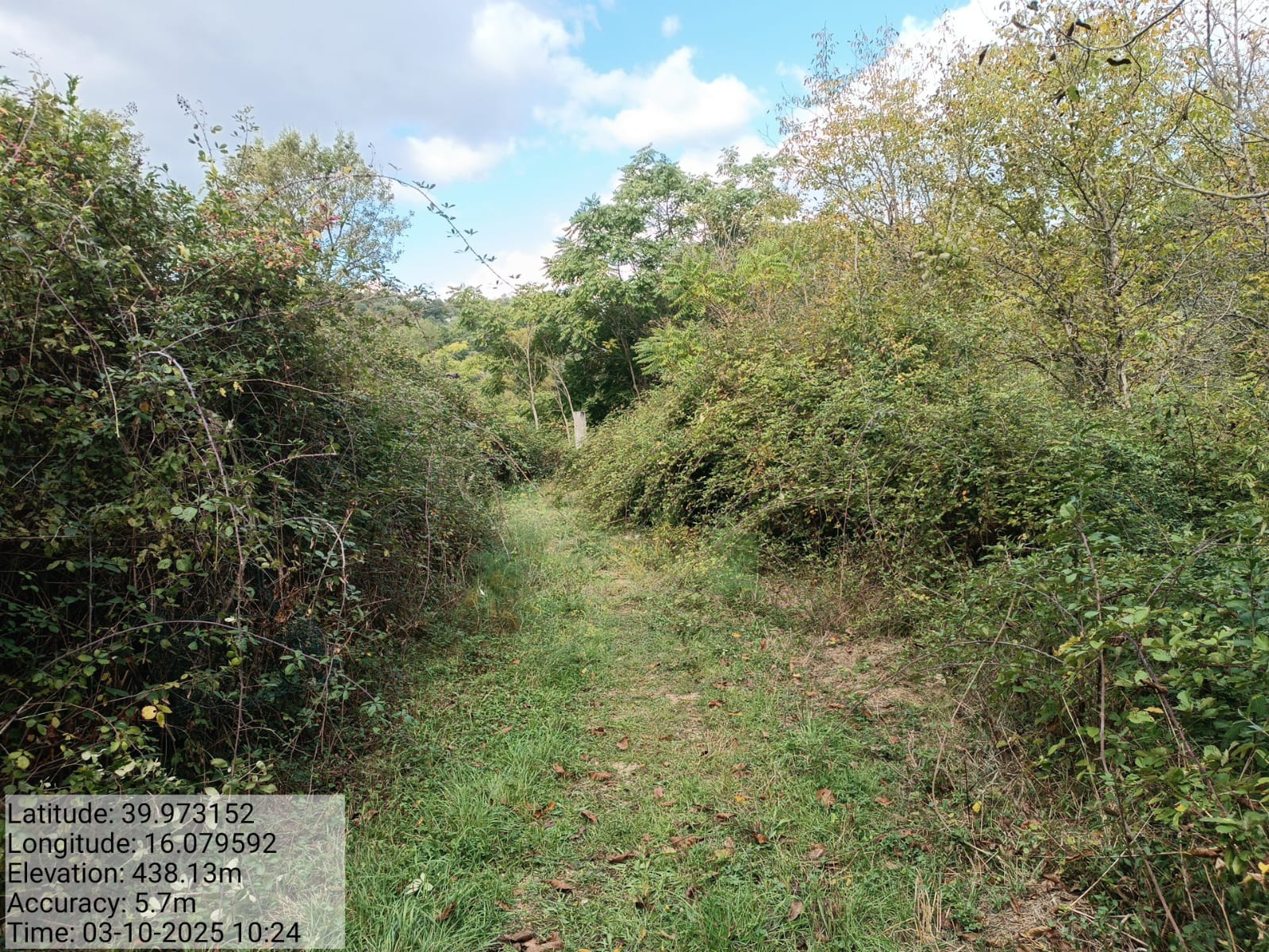 Galleria Fotografica Immagine