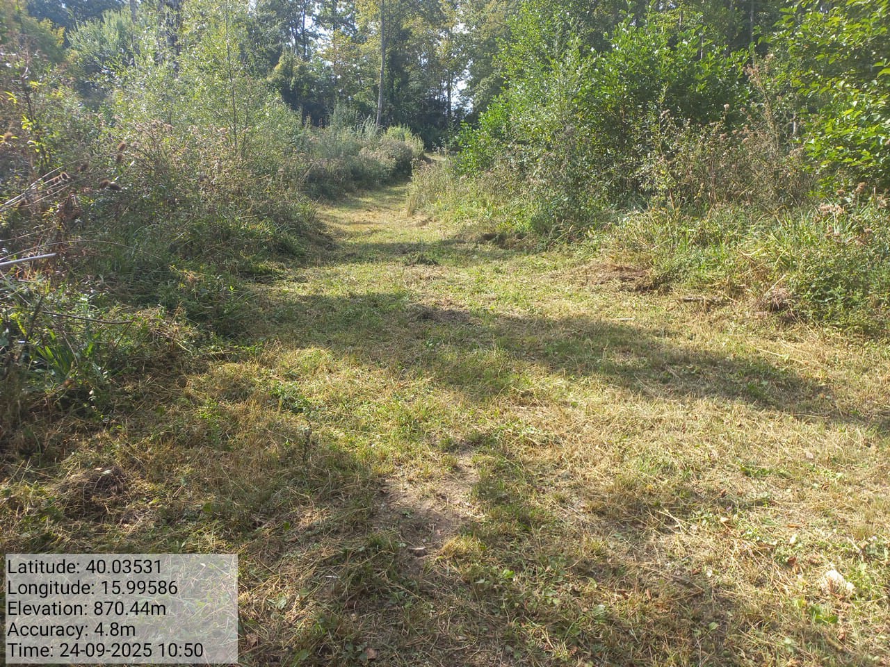 Galleria Fotografica Immagine