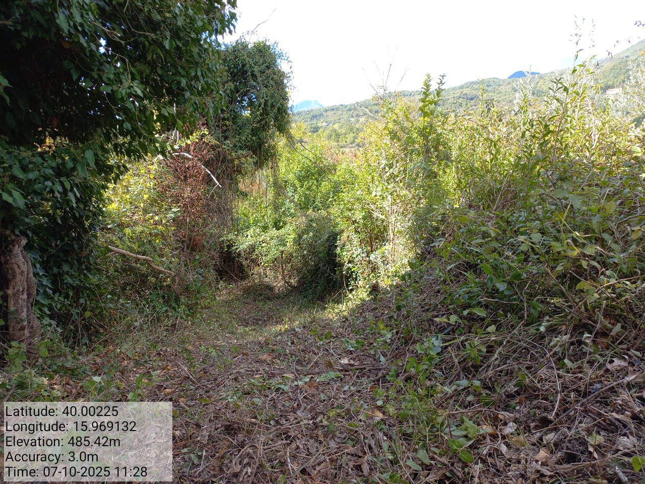 Galleria Fotografica Immagine