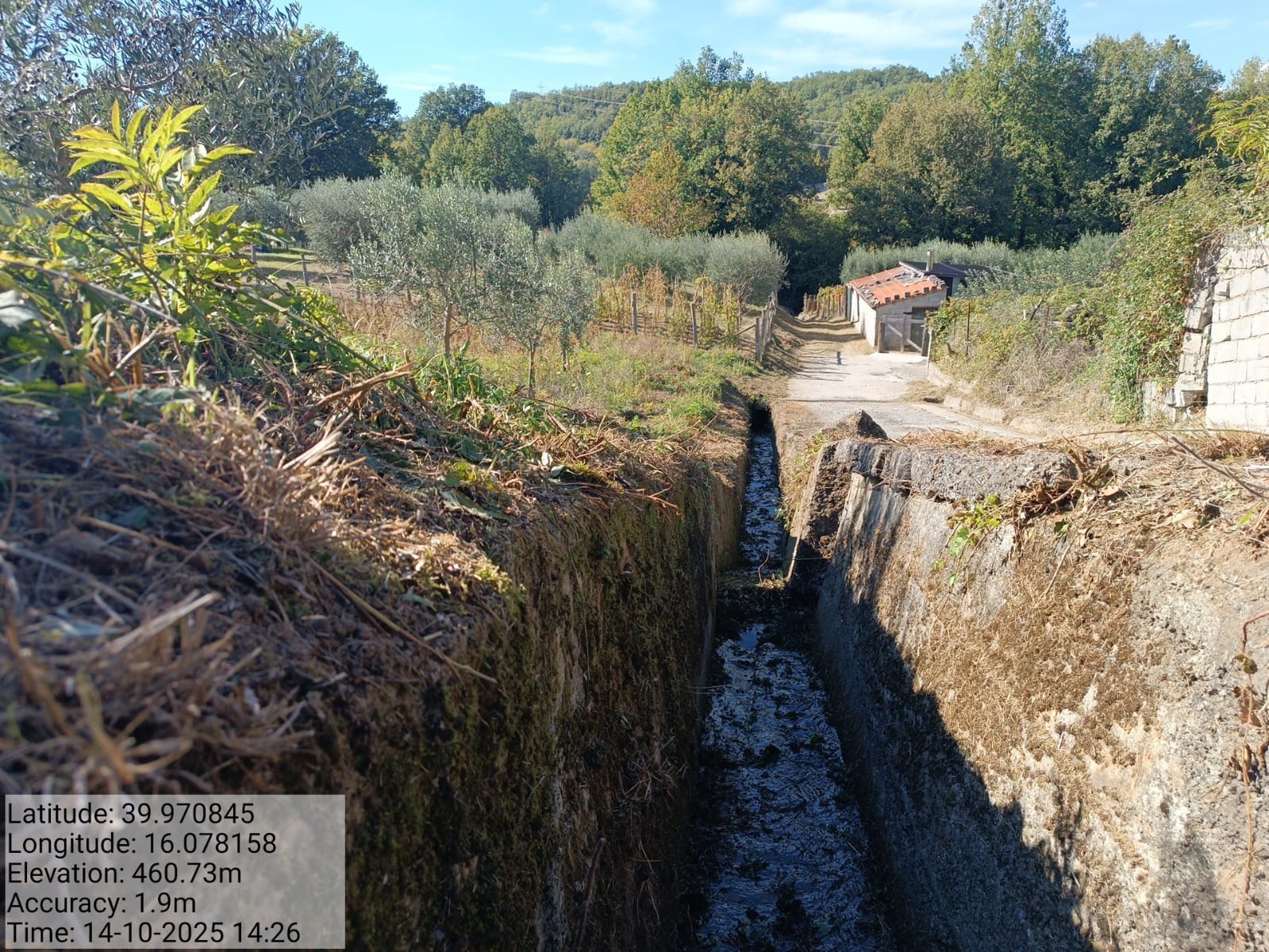 Galleria Fotografica Immagine