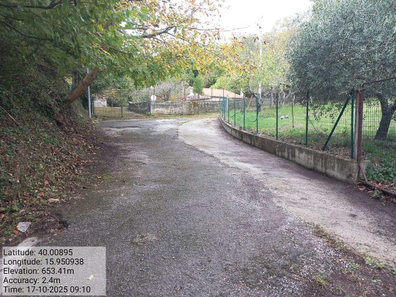 Galleria Fotografica Immagine