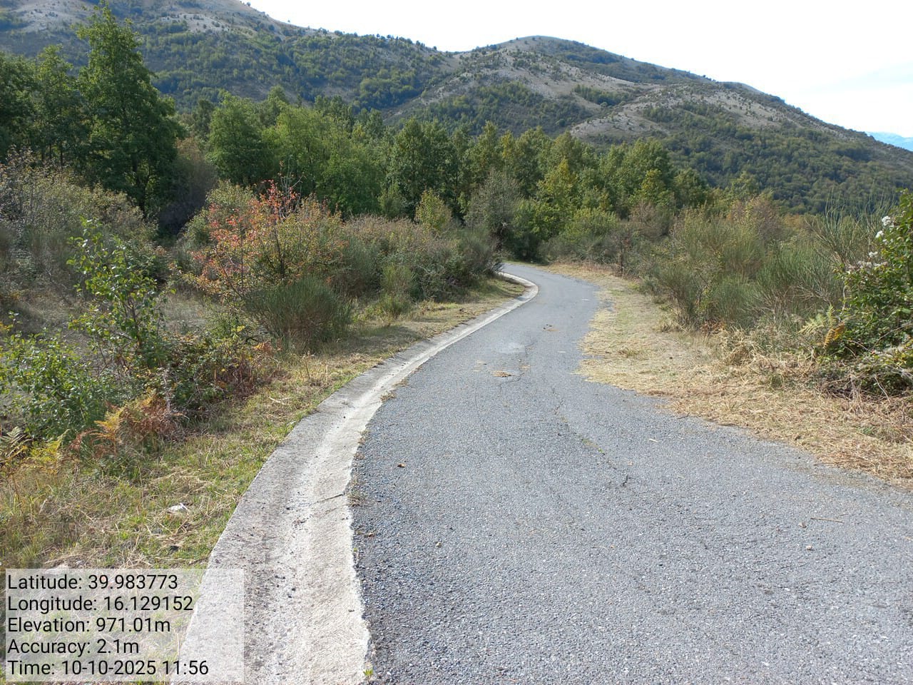 Galleria Fotografica Immagine