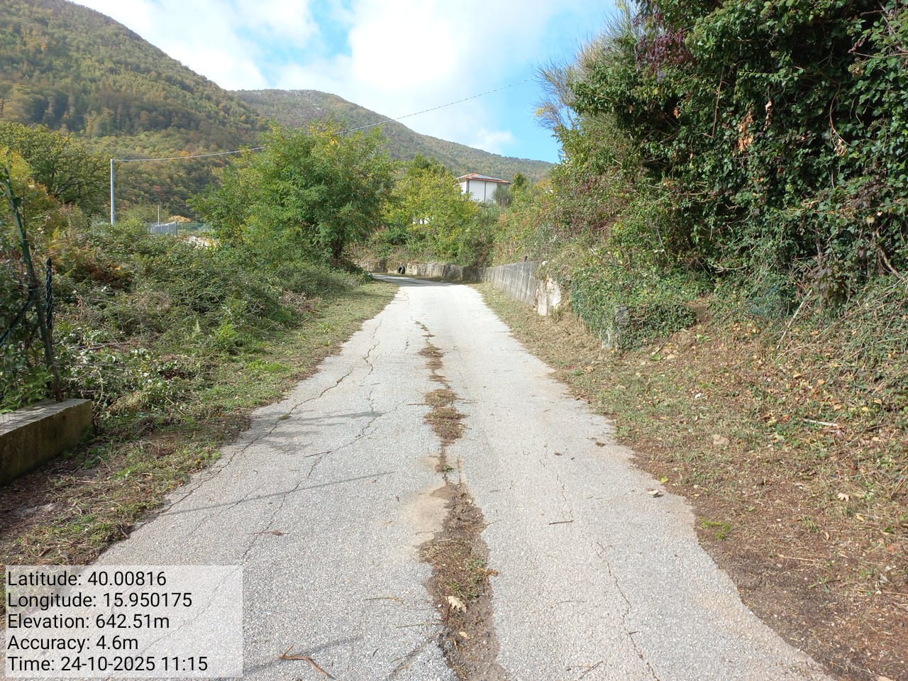 Galleria Fotografica Immagine