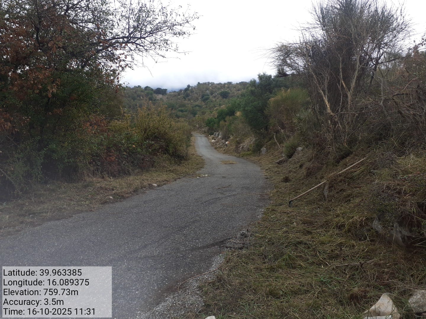 Galleria Fotografica Immagine