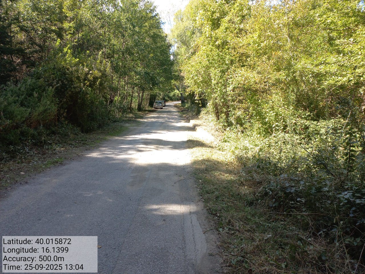 Galleria Fotografica Immagine