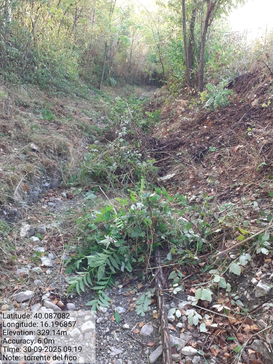 Galleria Fotografica Immagine