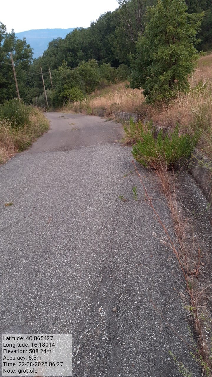 Galleria Fotografica Immagine