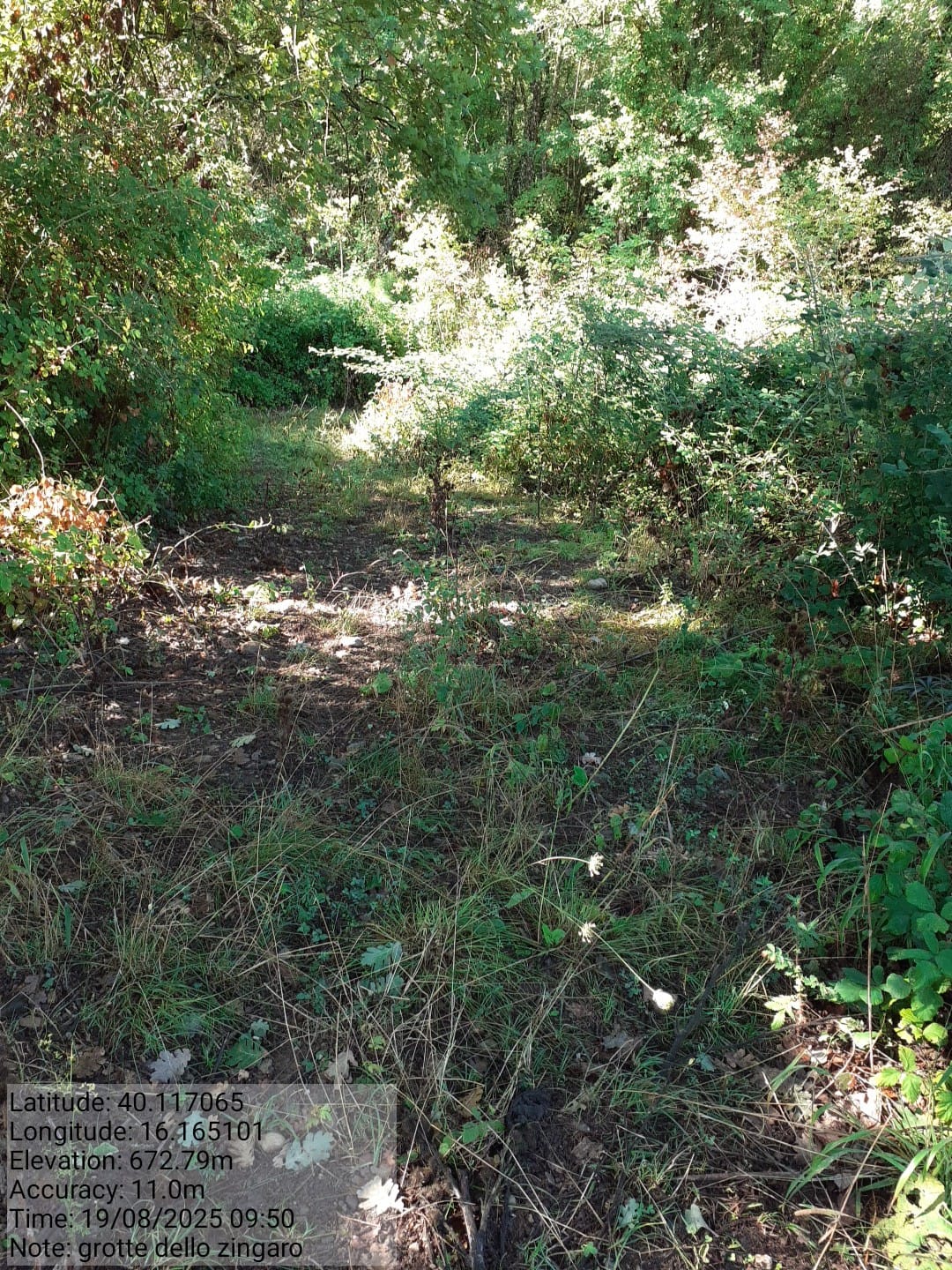 Galleria Fotografica Immagine