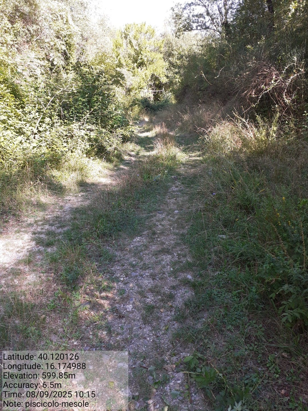 Galleria Fotografica Immagine