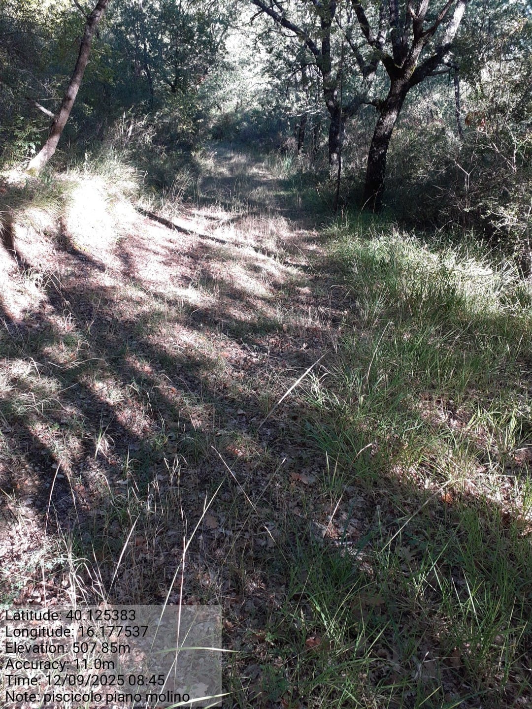 Galleria Fotografica Immagine