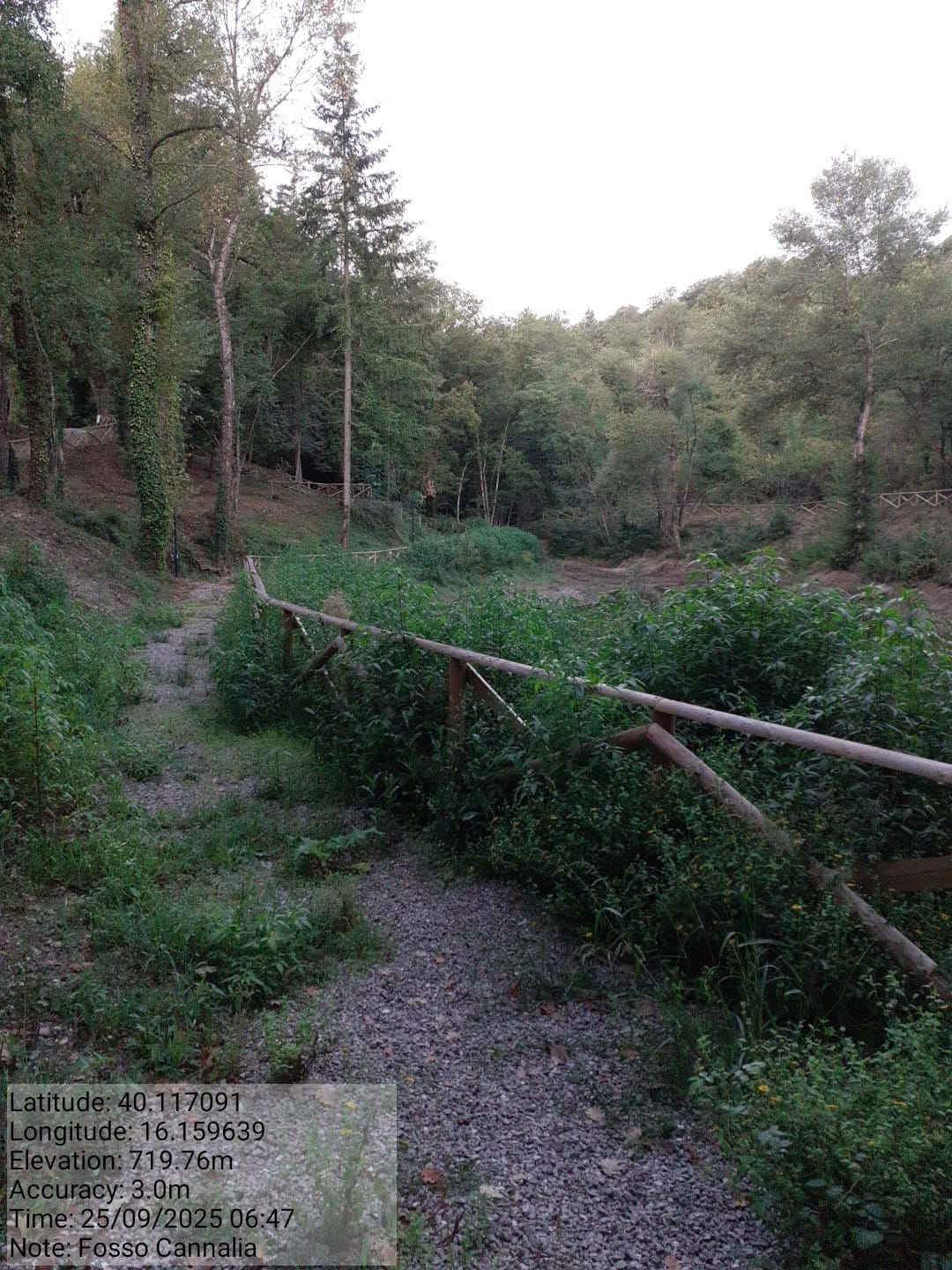 Galleria Fotografica Immagine