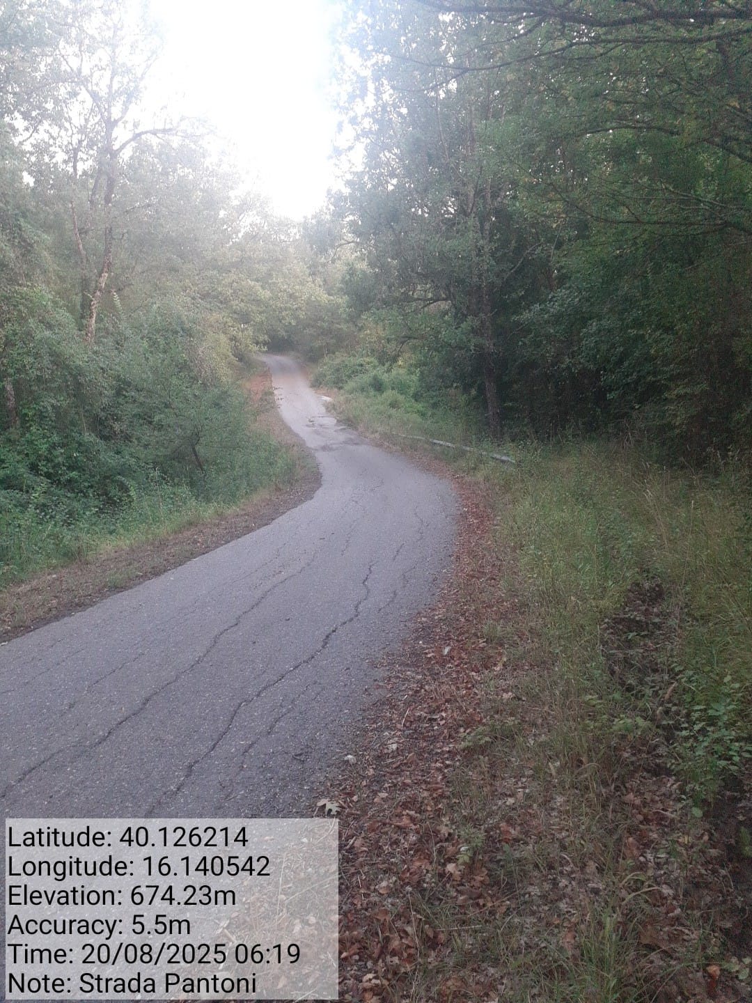 Galleria Fotografica Immagine