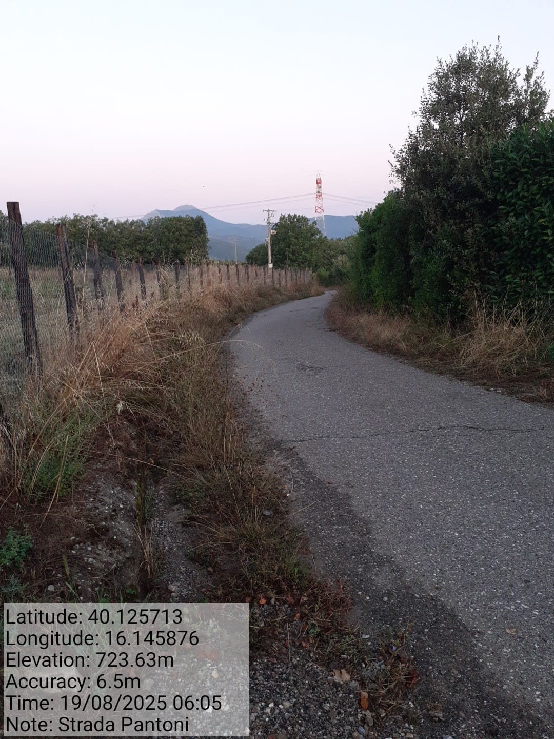 Galleria Fotografica Immagine