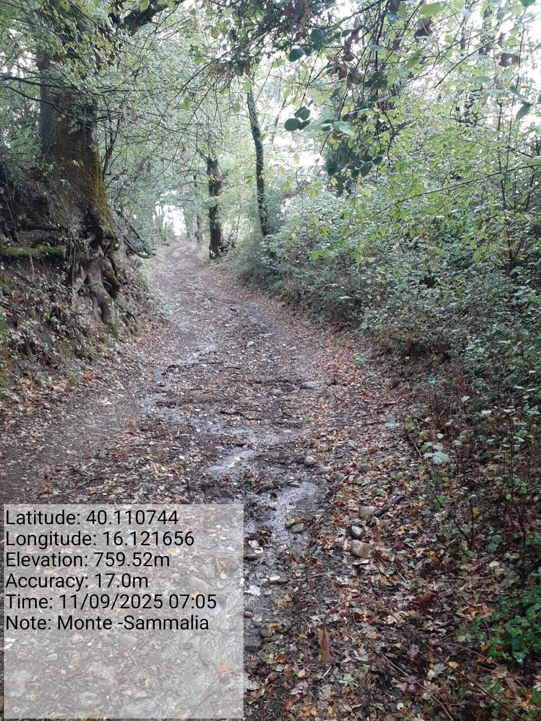 Galleria Fotografica Immagine