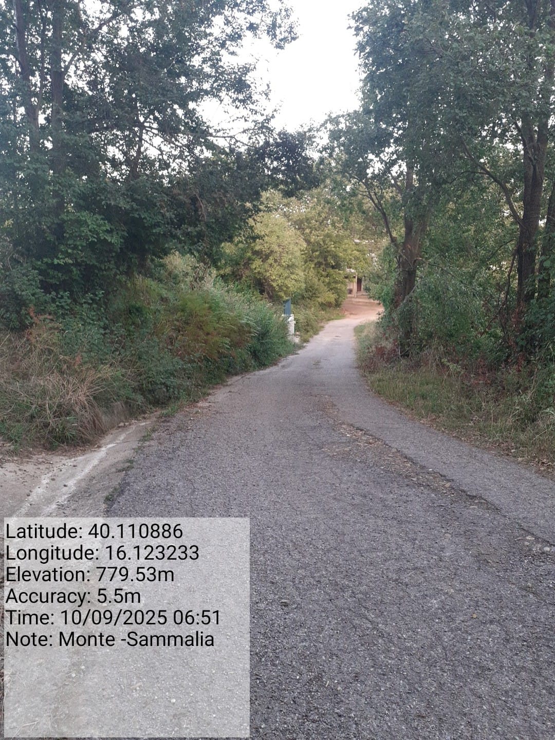 Galleria Fotografica Immagine