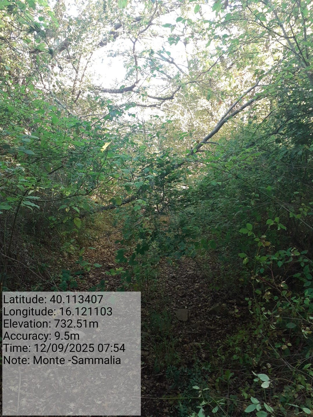 Galleria Fotografica Immagine