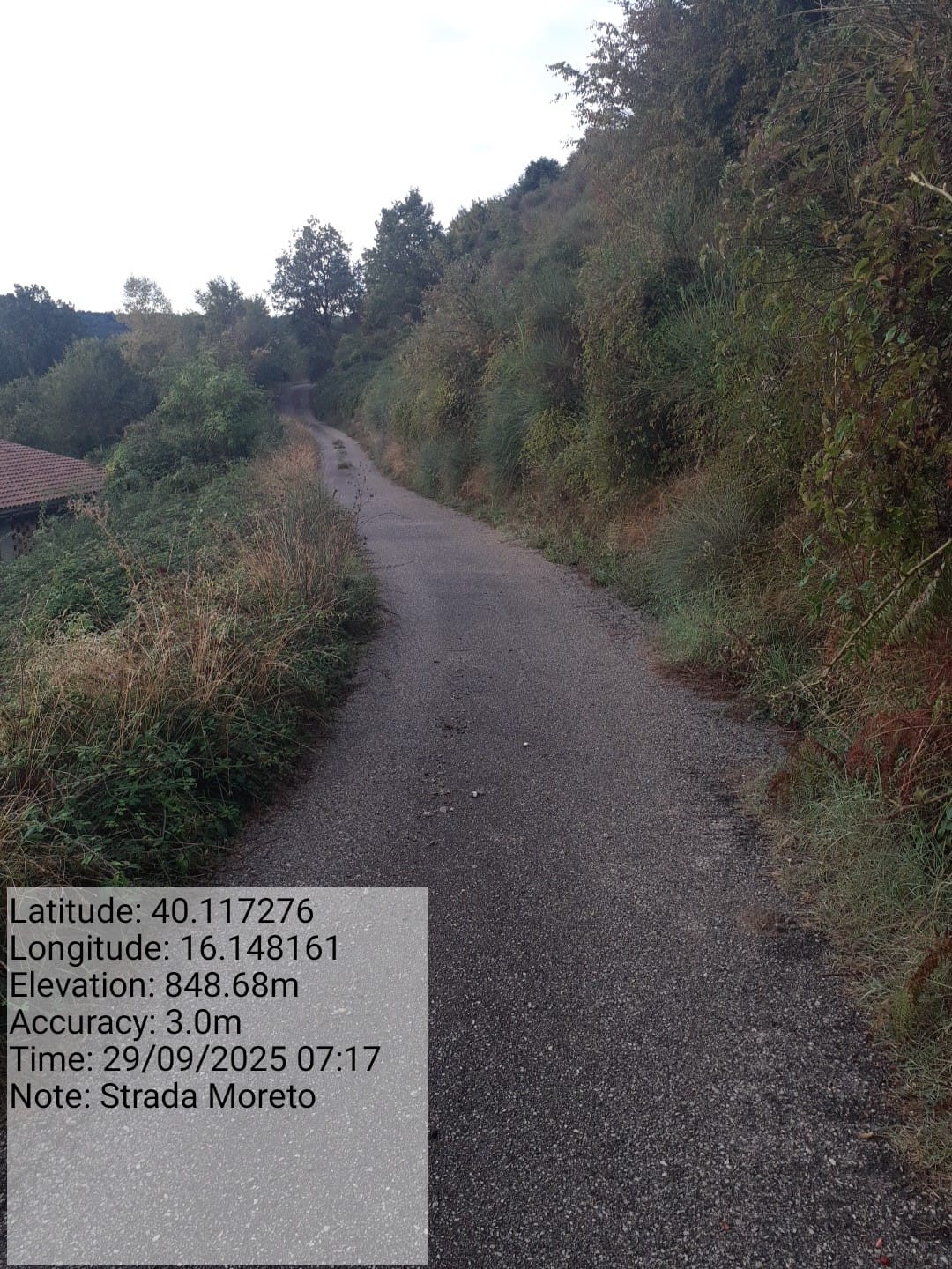 Galleria Fotografica Immagine