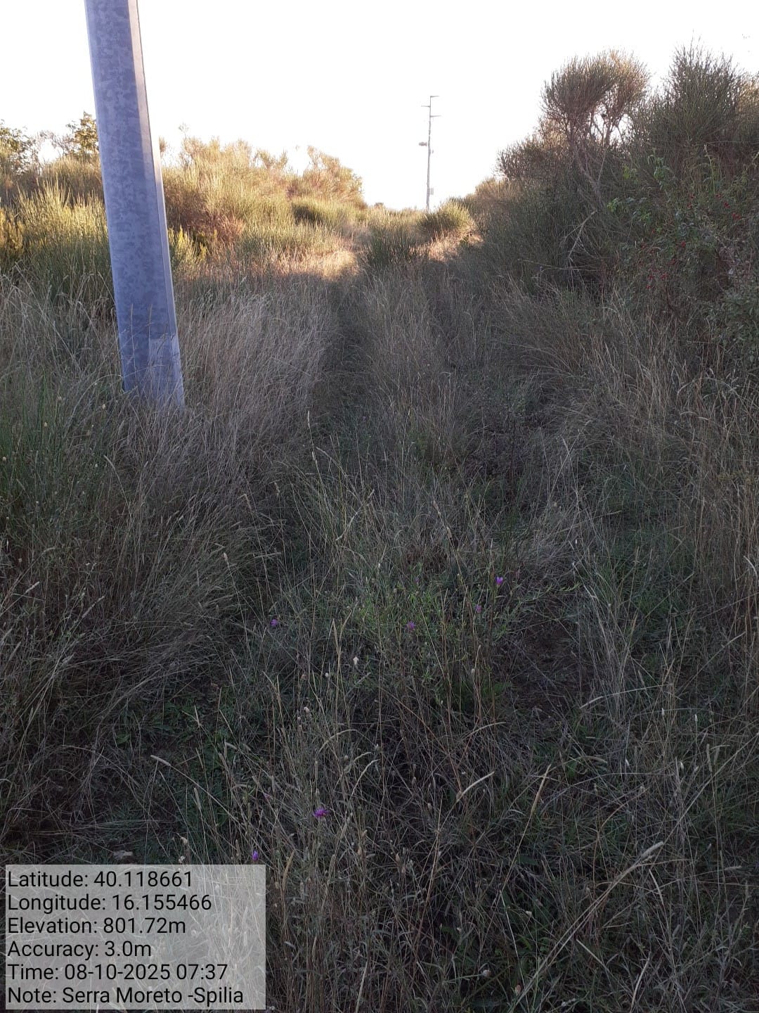 Galleria Fotografica Immagine