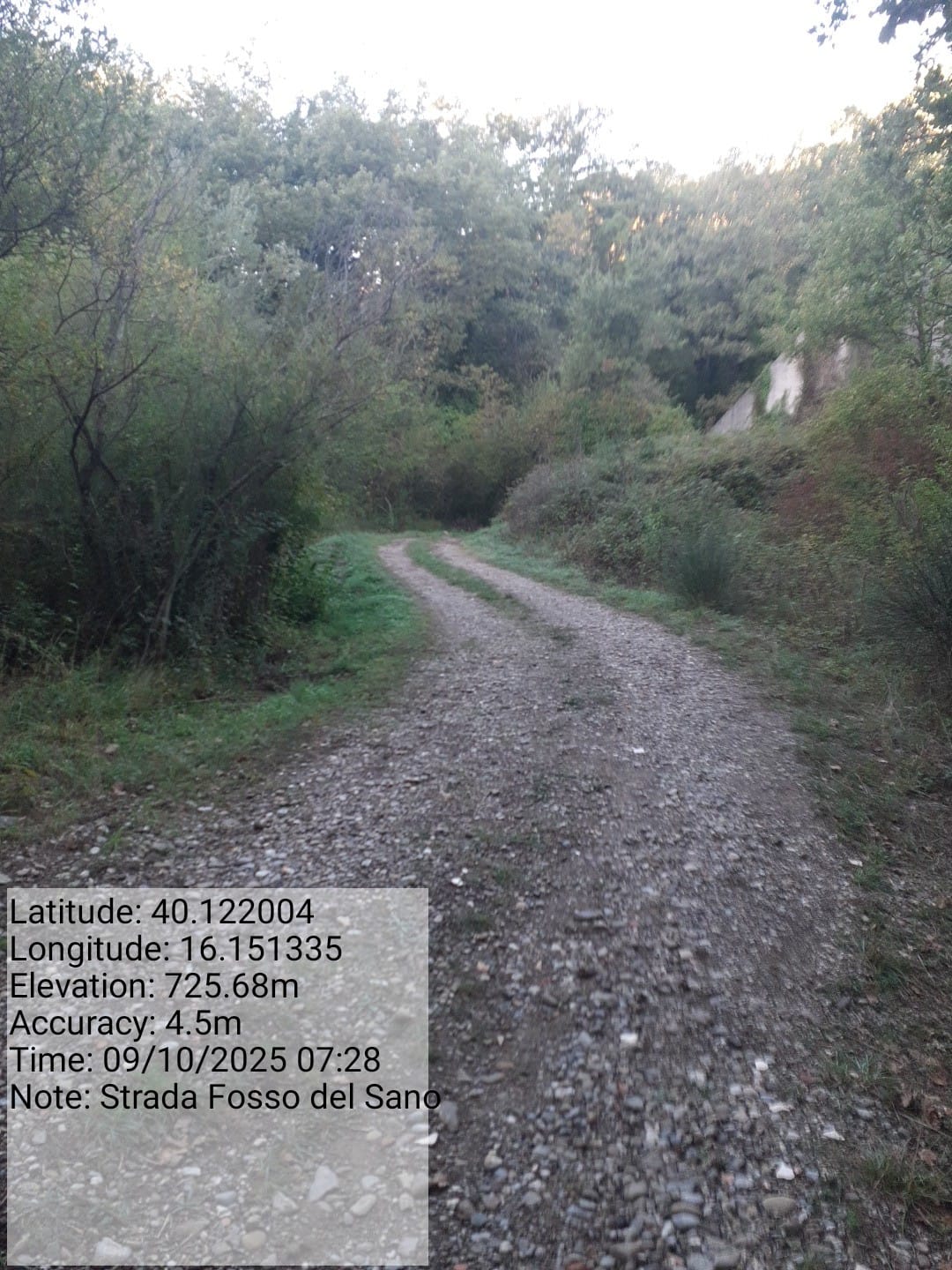 Galleria Fotografica Immagine