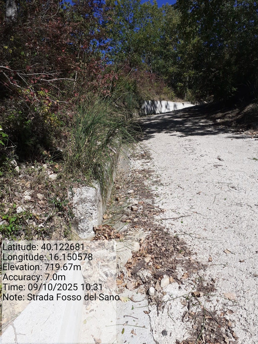 Galleria Fotografica Immagine