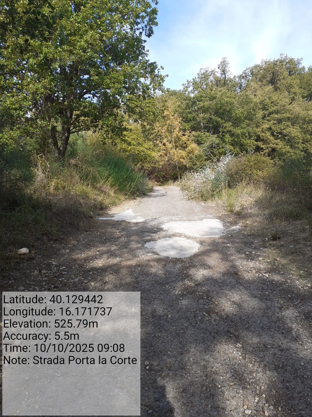 Galleria Fotografica Immagine