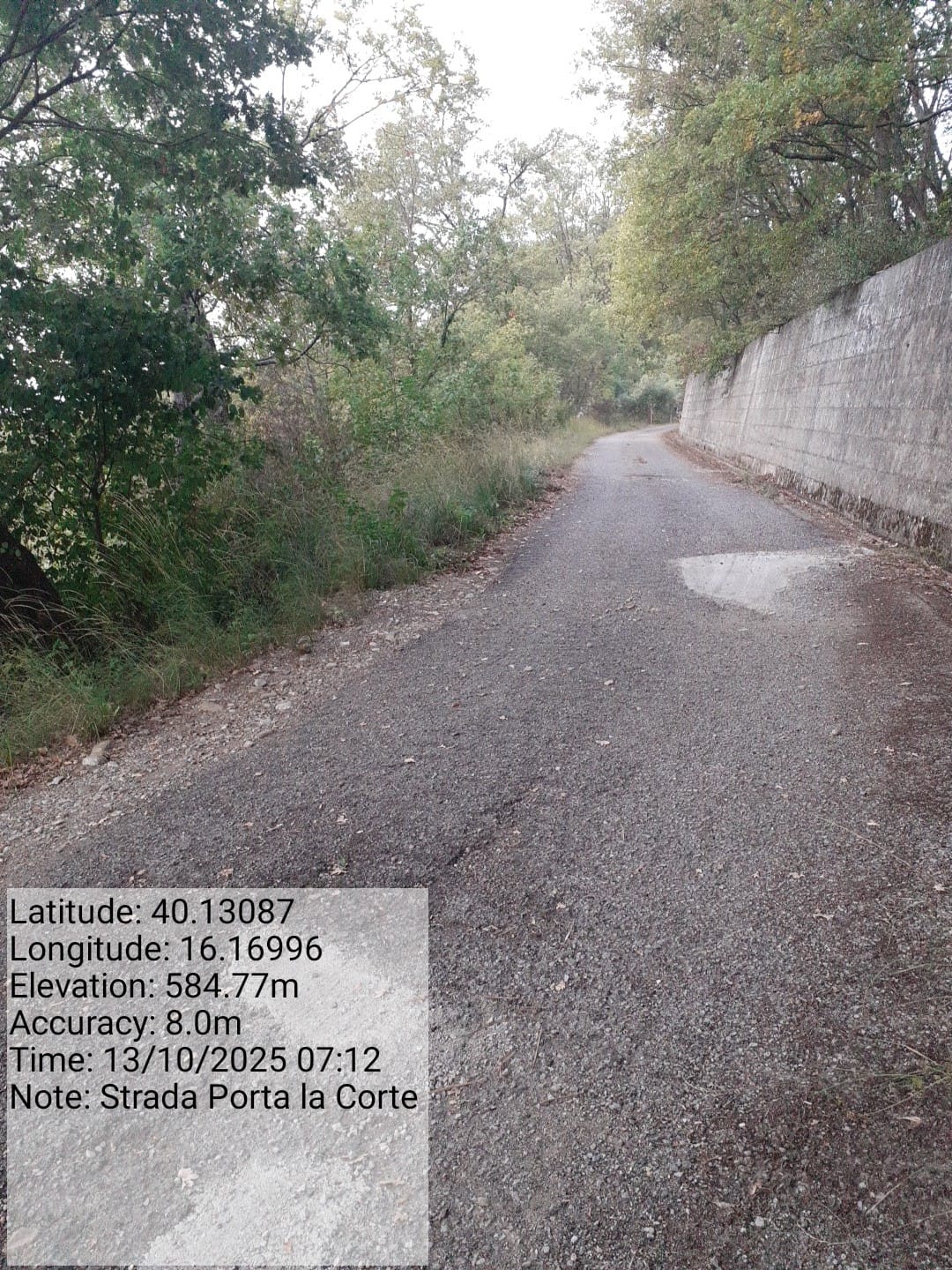 Galleria Fotografica Immagine