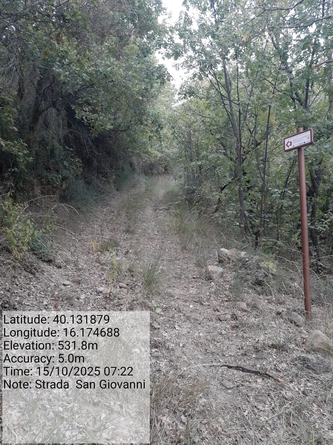 Galleria Fotografica Immagine