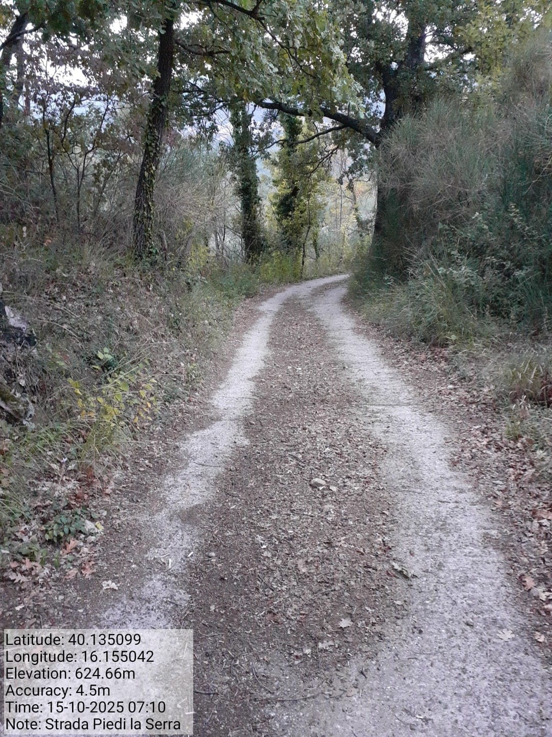 Galleria Fotografica Immagine