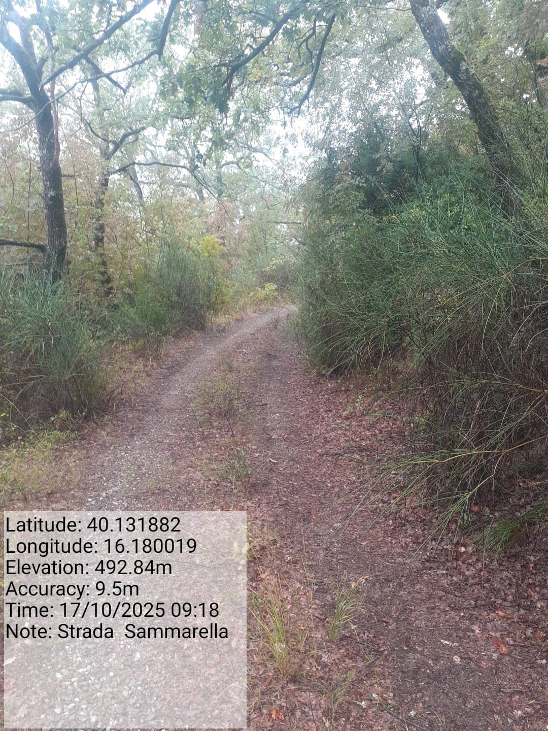 Galleria Fotografica Immagine