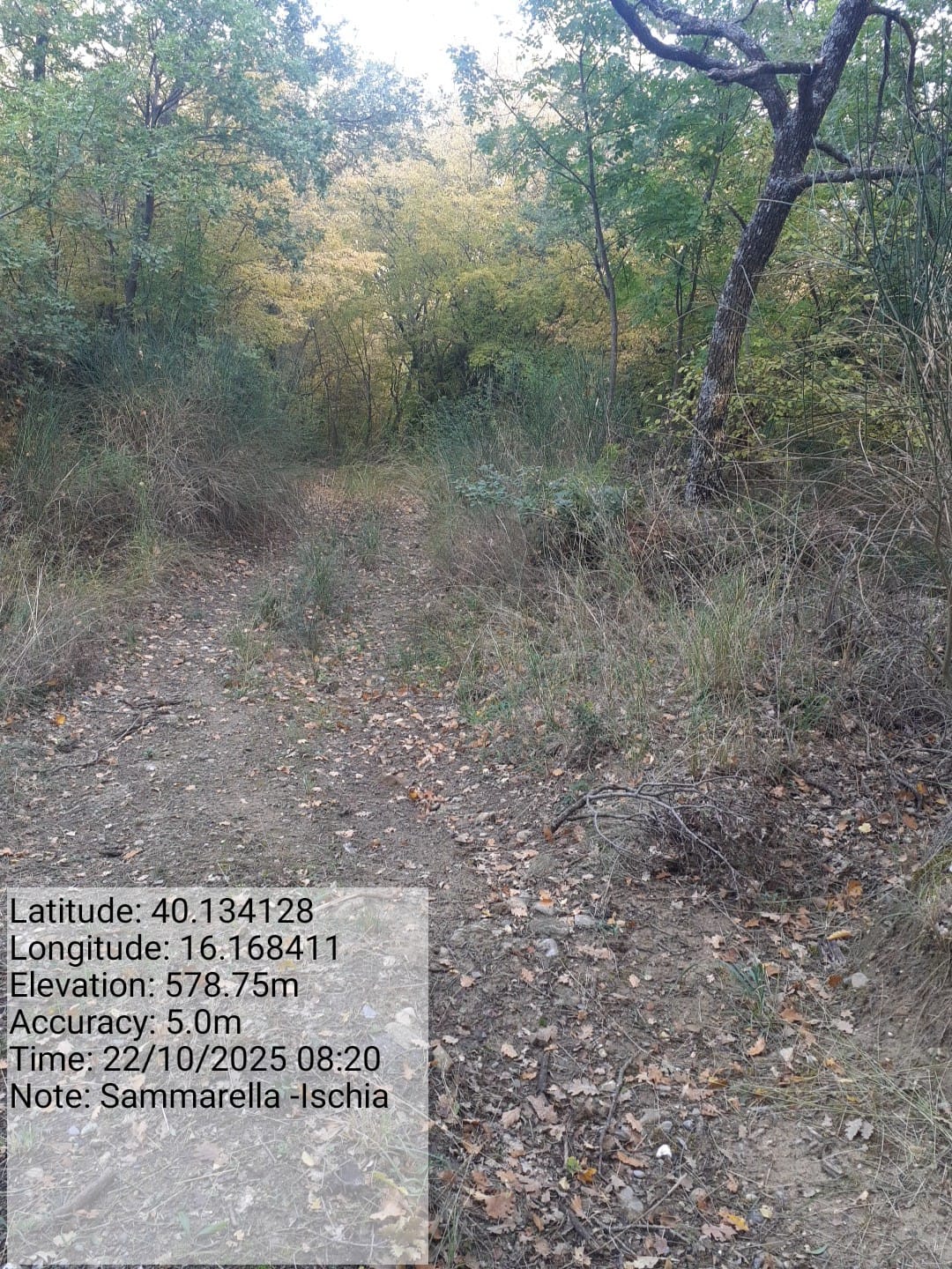 Galleria Fotografica Immagine