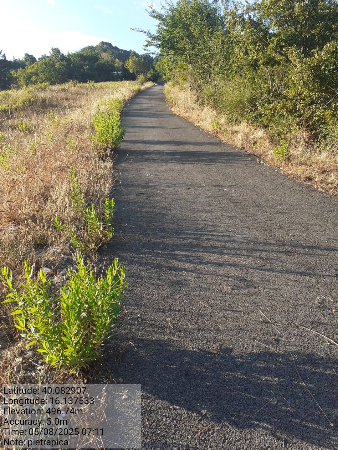 Galleria Fotografica Immagine